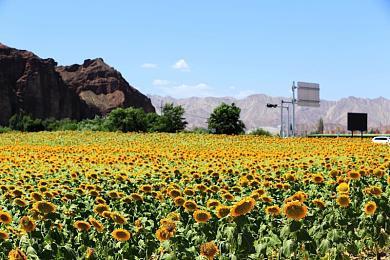 《守望先锋2》6月举行骄傲月活动 法老之鹰是女同
