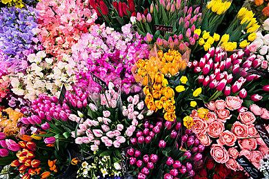 火星建设策略游戏《Terraformers》2022年登陆PC和NS